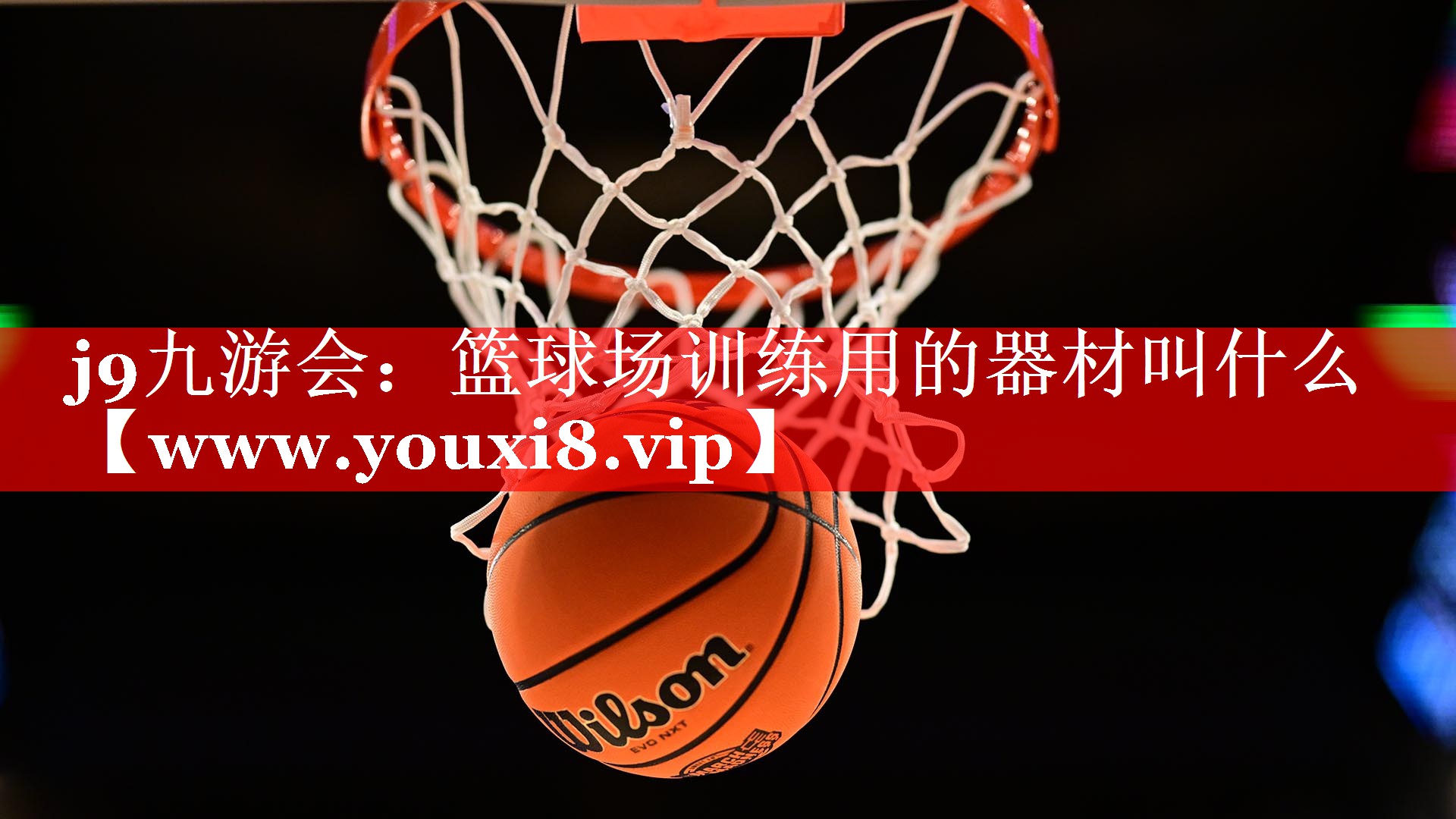 篮球场训练用的器材叫什么