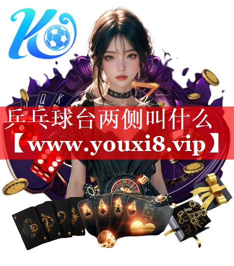 乒乓球台两侧叫什么