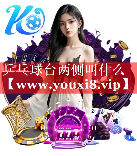 乒乓球台两侧叫什么