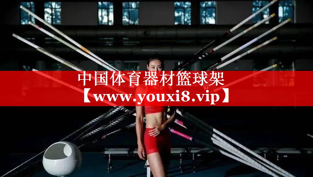中国体育器材篮球架