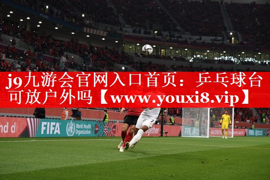 乒乓球台可放户外吗