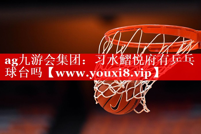 习水鰼悦府有乒乓球台吗