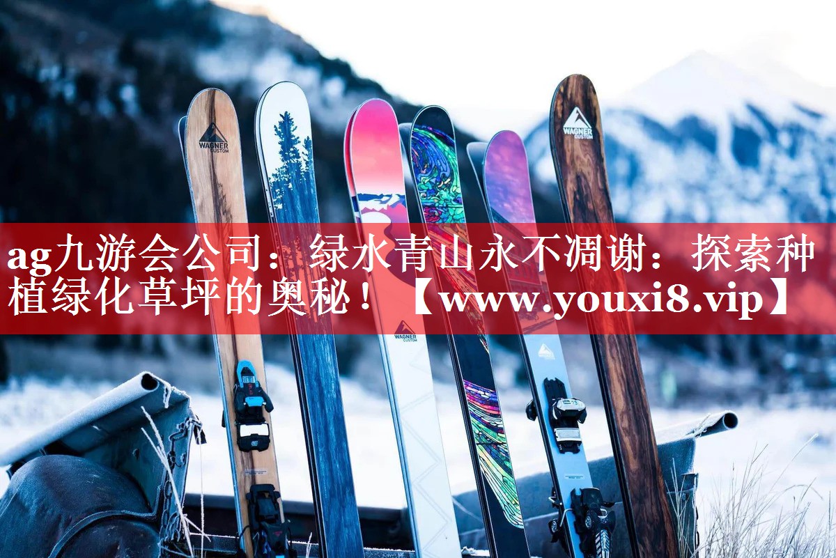 绿水青山永不凋谢：探索种植绿化草坪的奥秘！