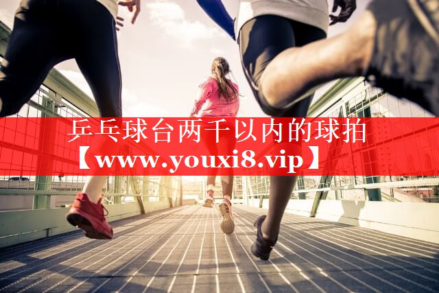 乒乓球台两千以内的球拍
