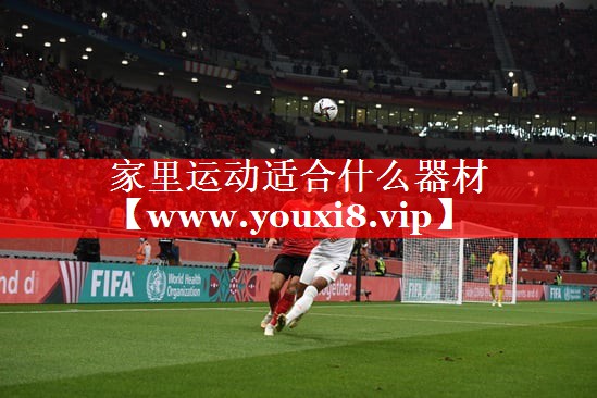 家里运动适合什么器材