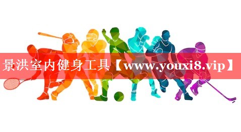 景洪室内健身工具