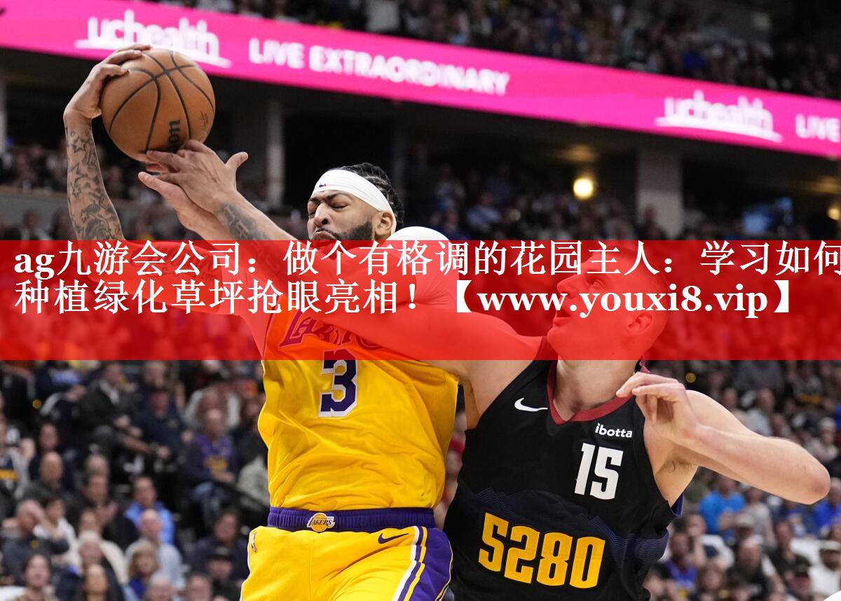 做个有格调的花园主人：学习如何种植绿化草坪抢眼亮相！