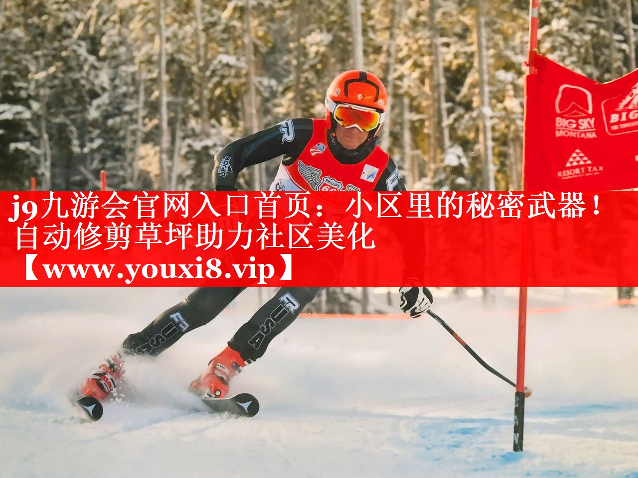小区里的秘密武器！自动修剪草坪助力社区美化
