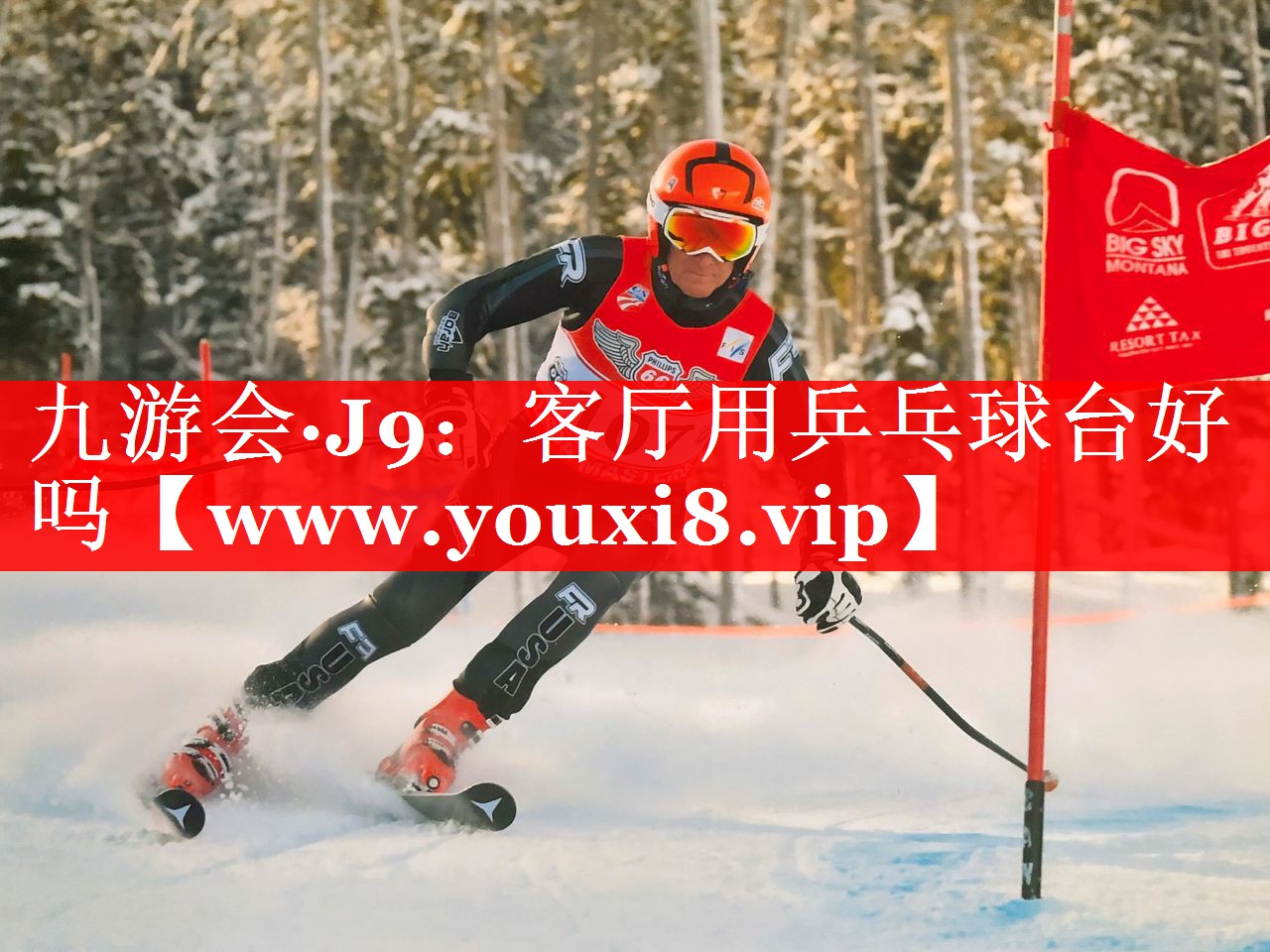 客厅用乒乓球台好吗