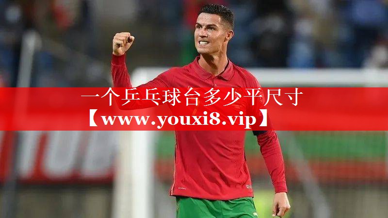 一个乒乓球台多少平尺寸