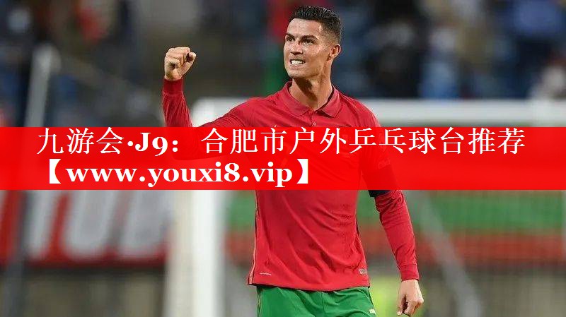 合肥市户外乒乓球台推荐