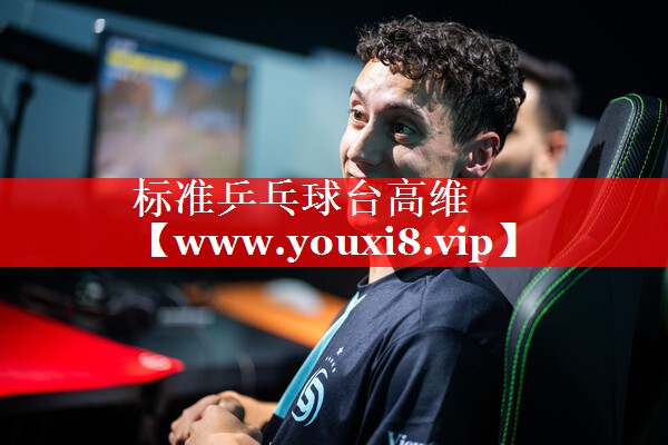 标准乒乓球台高维