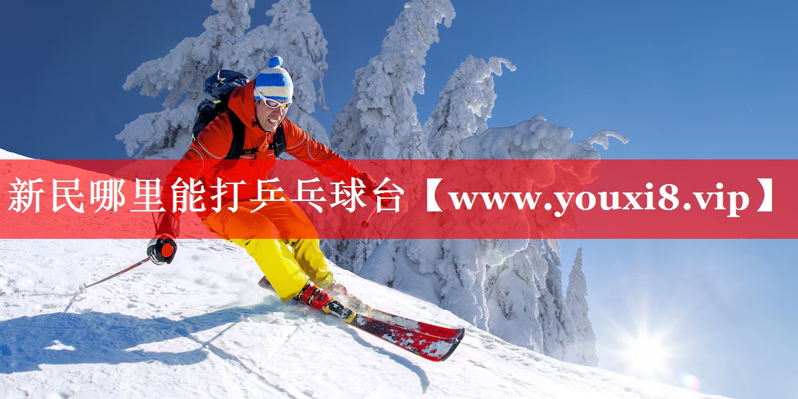 新民哪里能打乒乓球台