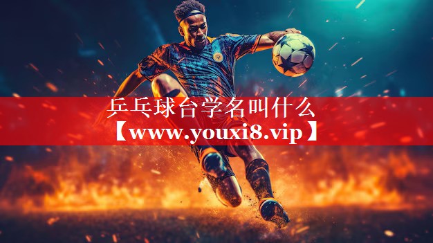 乒乓球台学名叫什么