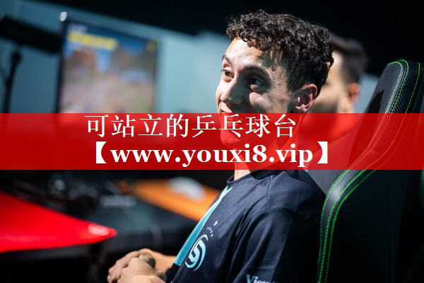 可站立的乒乓球台